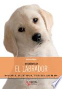 El labrador