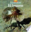 El lagarto