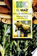 El Maz En Los Trpicos