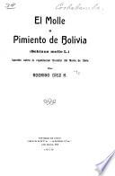 El molle o pimiento de Bolivia (Schinus molle L.)
