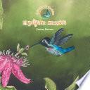 El pájaro mosca