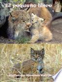 EL PEQUEÑO LINCE