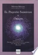 El pequeno Sadhivani y Origen