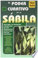 El poder curativo de la sabila/ The healing power of Aloe Vera