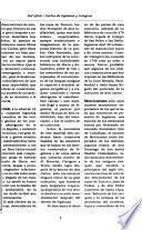 El puente