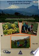 El Sistema  de Cultive la Papa en la Provincia de Cotopaxi