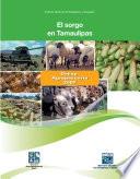 El sorgo en Tamaulipas. Censo Agropecuario 2007