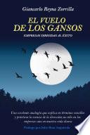 El Vuelo de los Gansos: Empresas dirigidas al éxito