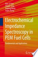 Electrochemical Impedance Spectroscopy in PEM Fuel Cells
