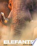 Elefante