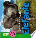 Elefante