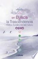 En busca de la trascendencia