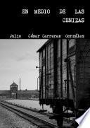 EN MEDIO DE LAS CENIZAS (NOVELA)