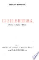 En pos de las luciérnagas