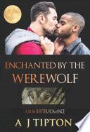 Enchanted by the Werewolf: A M-M Shifter Romance