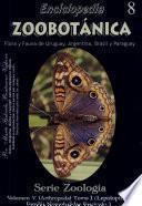 Enciclopedia Zoobotánica (Serie Zoología Lepidoptera-Nymphalidae Fascículo 1)