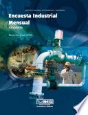 Encuesta Industrial Mensual. Ampliada. Resumen anual 2008