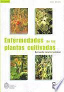 Enfermedades de las plantas cultivadas