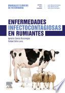 Enfermedades infectocontagiosas en rumiantes