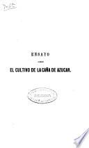 Ensayo sobre el cultivo de la caña de azucar
