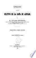 Ensayo sobre el cultivo de la caña de azúcar