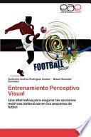 Entrenamiento Perceptivo Visual