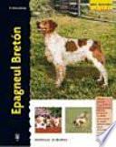 Epagneul bretón
