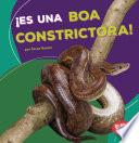 ¡Es una boa constrictora!