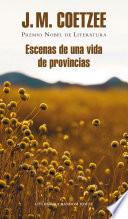 Escenas de una vida de provincias