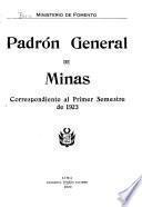 Estado del padrón general de minas