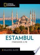 Estambul Walking