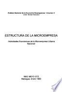 Estructura de la microempresa