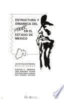Estructura y dinámica del poder en el Estado de México