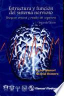 Estructura y función del sistema nervioso
