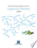 Estudio de información integrada de la Cuenca Laguna de Términos y otras