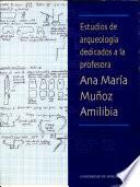 Estudios de arqueología dedicados a la profesora Ana María Muñoz Amilibia