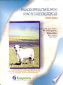 Evaluacion Reproductiva Del Macho Bovino en Condiciones Tropicales
