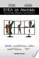 EVEA en Anatomía