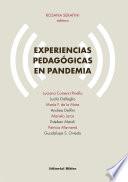 Experiencias pedagógicas en pandemia