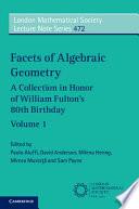 Facets of Algebraic Geometry: Volume 1