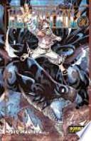 Fairy tail 20