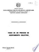 Fases de un proceso de asentamiento colectivo