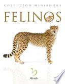 Felinos