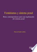 Feminismos y sistema penal.