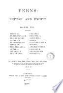 Ferns: British and Exotic