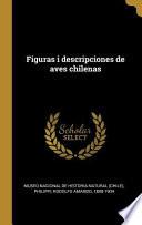 Figuras I Descripciones de Aves Chilenas