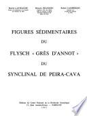 Figures sédimentaires du flysch grès d'Annot du synclinal de Peira-Cava