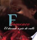 FLAMENCO. El duende a pie de calle