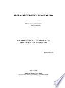 Flora Palinologica de Guerrero