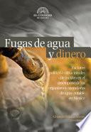 Fugas de agua y dinero